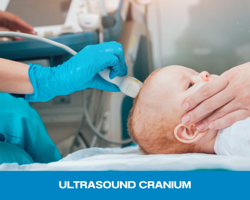 ULTRASOUND CRANIUM